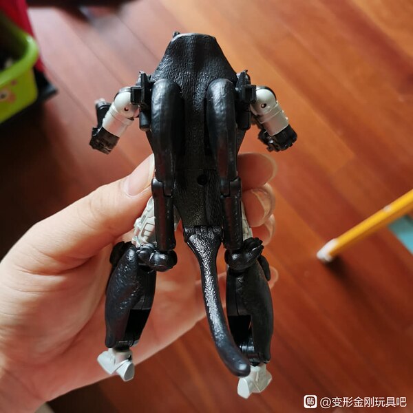 MORE Transformers Agent Ravage Images Cheetor Compared  (34 of 67)